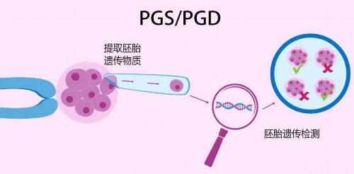 (a)艾滋病患者代孕,激素六项和amh是月经期间一起检查吗？
