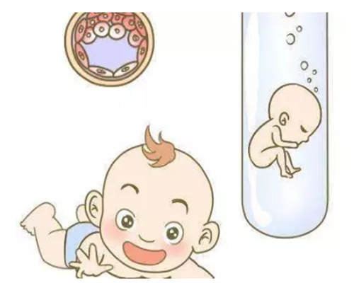哪里有供卵试管机构_试管三代是怎么回事_取卵时孕酮高不能移植吗，试管婴儿