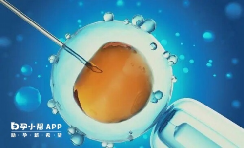 供卵第三代试管婴儿多少钱_试管区别可以选择性别吗_国内首个“三代试管婴”