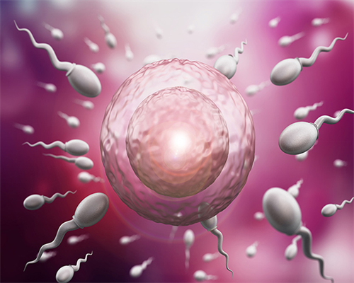 试管婴儿选男孩多少钱_广州南方医院可做供卵试管吗_移植当天内膜蠕动每分钟