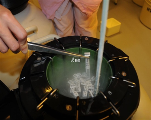 试管婴儿可以选择基因吗_想生龙凤胎可以做试管婴儿吗_2026广州试管成功率高的