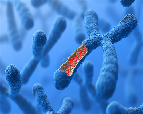 香港试管婴儿可以筛选性别么_三代试管婴儿选择性别民营医院_试管婴儿技术，