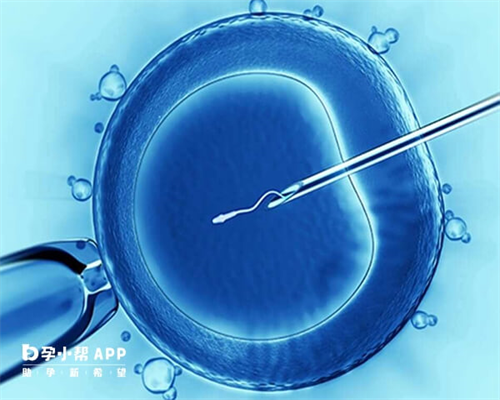 试管婴儿双胞胎成功率_试管婴儿健康吗聪明吗_北京试管婴儿医院哪家好 试管生