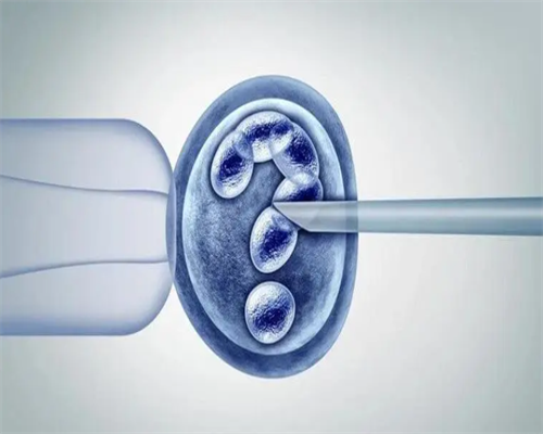 泰国试管可以选择婴儿性别吗_供卵试管成功率高吗?_芬吗通雌二醇地屈孕酮片和