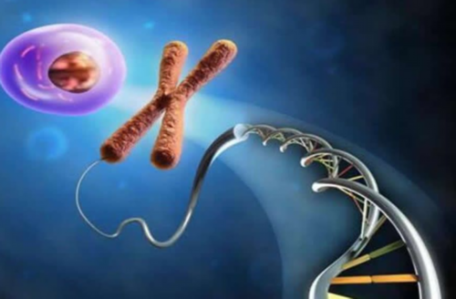 四川试管婴儿包男孩_试管供精能做无创DNA吗_林卡尔漏吃了一天有什么危害？