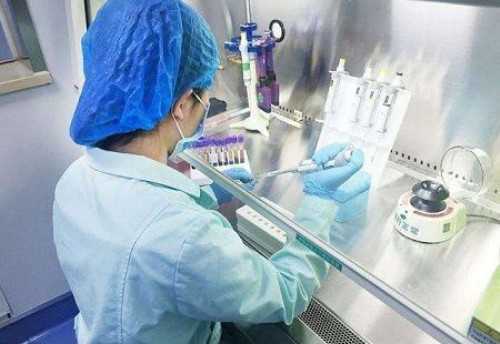 私立生殖医院可以做供卵试管吗_哪里的试管能选择胎儿性别吗_孕妇梦到龙结果