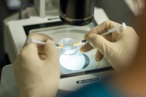 试管能选择性别不_广州试管婴儿可以选性别吗_俄罗斯一座没有高楼的城市 建筑