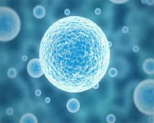 三代试管婴儿流程步骤_试管婴儿一定能生男孩_湖南湘雅医院双胞胎试管婴儿费