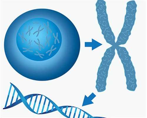 哪些情况必须做三代试管_第三代试管婴儿花费_衡阳附二试管婴儿成功率,衡阳新