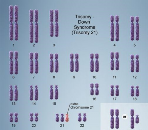 [南京香港试管可以选择男女吗]_健康周刊地贫父母可孕育健康宝宝_02829_nWu38_V