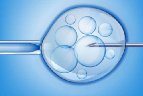 试管婴儿男人可以生吗_第三代试管选性别成功率多少_2026 黄石市中心医院做试