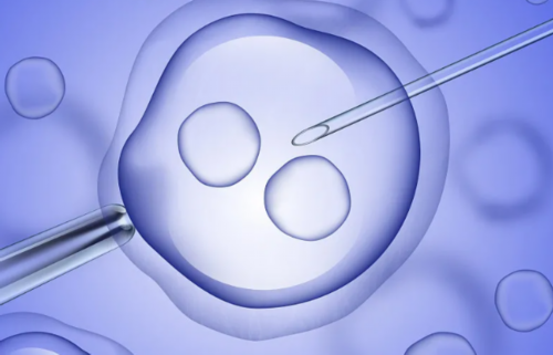 试管婴儿能决定男女吗_试管婴儿几个月成功_瑞安做试管婴儿去浙江妇保医院怎